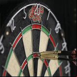 Shot Renegade Bristle Dartboard