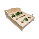 Frog Game - 14 Holes, Cast Iron Frog with Wooden Draw