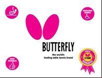 Butterfly Space Saver 25 Rollaway Table Tennis Table
